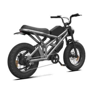 Citycoco 2000w til salgs engrospris