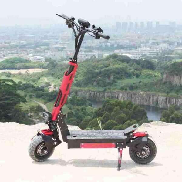 Citycoco Chopper 2000w til salgs engrospris
