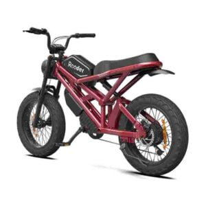 Citycoco Scooter Pris til salgs engrospris