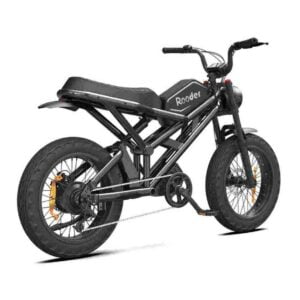 Citycoco trehjuls elektrisk scooter til salgs engrospris