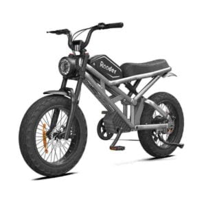 Fat Tire Cycle Electric til salgs engrospris
