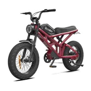 Fat Tire Ebikes til salgs engrospris